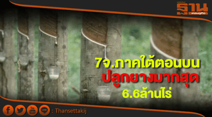 เปิดข้อมูล7 จังหวัดภาคใต้ตอนบนพื้นที่ปลูกยางมากสุด 6.6 ล้านไร่ เปิดข้อมูล7 จังหวัดภาคใต้ตอนบนพื้นที่ปลูกยางมากสุด 6.6 ล้านไร่