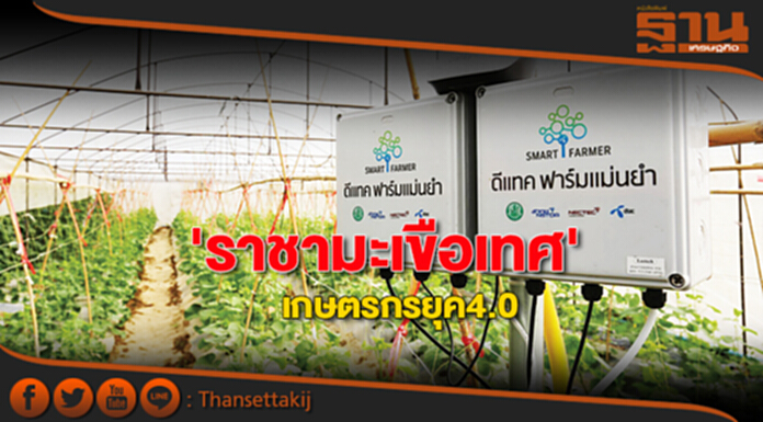 ‘ราชามะเขือเทศ’เกษตรกรยุค4.0 ติดอาวุธ IoT ‘ฟาร์มแม่นยำ’ ‘ราชามะเขือเทศ’เกษตรกรยุค4.0 ติดอาวุธ IoT ‘ฟาร์มแม่นยำ’