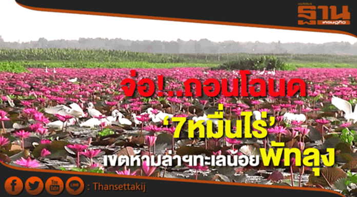 กรมที่ดินจ่อถอนโฉนด7หมื่นไร่เขตห้ามล่าสัตว์ป่าทะเลน้อยจ.พัทลุง กรมที่ดินจ่อถอนโฉนด7หมื่นไร่เขตห้ามล่าสัตว์ป่าทะเลน้อยจ.พัทลุง