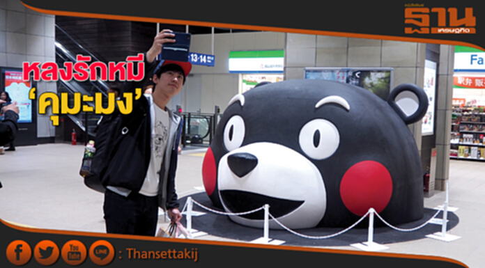 หลงรักหมี ‘คุมะมง’ หลงรักหมี ‘คุมะมง’