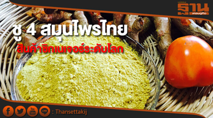 พาณิชย์ชู 4 สมุนไพรไทย “บัวบก-ขมิ้นชัน-ไพล-กระชายดำ”ยกระดับเป็นสินค้าซิกเนเจอร์ระดับโลก พาณิชย์ชู 4 สมุนไพรไทย “บัวบก-ขมิ้นชัน-ไพล-กระชายดำ”ยกระดับเป็นสินค้าซิกเนเจอร์ระดับโลก