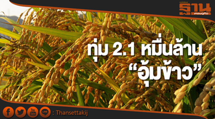 รัฐฯ ทุ่ม 2.1 หมื่นล้าน “อุ้มข้าว” รัฐฯ ทุ่ม 2.1 หมื่นล้าน “อุ้มข้าว”