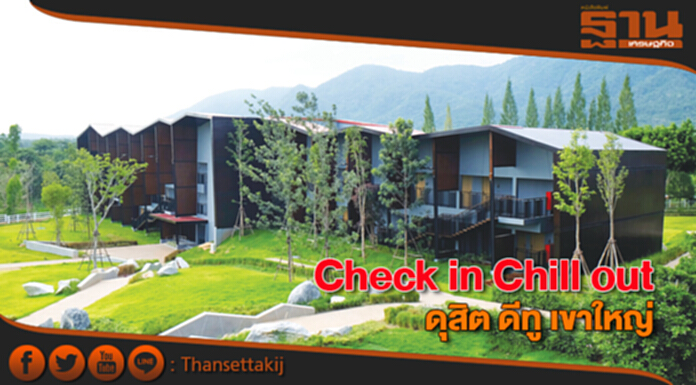 check in chill out ดุสิต ดีทู เขาใหญ่ check in chill out ดุสิต ดีทู เขาใหญ่