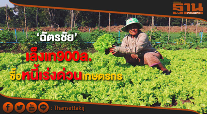 "ฉัตรชัย"เล็งเทหน้าตัก900 ล.ซื้อหนี้เร่งด่วนส่งซิกเลือกตั้งผู้แทนเกษตรกรใหม่ "ฉัตรชัย"เล็งเทหน้าตัก900 ล.ซื้อหนี้เร่งด่วนส่งซิกเลือกตั้งผู้แทนเกษตรกรใหม่