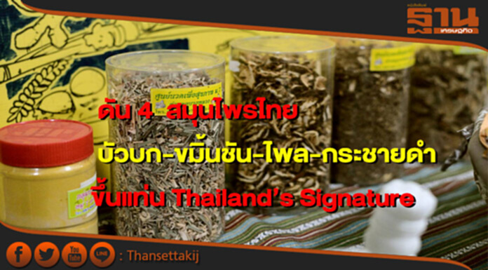 พาณิชย์ดัน4สมุนไพร ขึ้นแท่น Thailand’s Signature พาณิชย์ดัน4สมุนไพร ขึ้นแท่น Thailand’s Signature