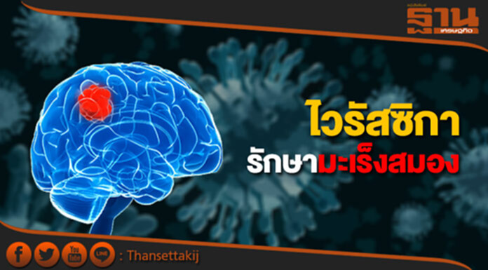 นักวิทยาศาสตร์เล็งใช้ ไวรัสซิกา รักษามะเร็งสมอง นักวิทยาศาสตร์เล็งใช้ ไวรัสซิกา รักษามะเร็งสมอง