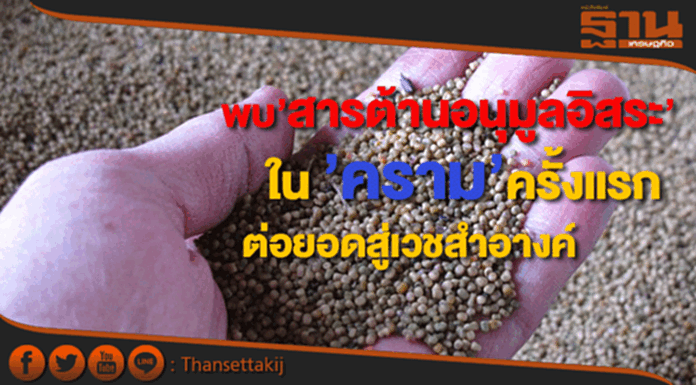มธ.พบสารต้านอนุมูลอิสระในครามครั้งแรกจ่อต่อยอดสู่เวชสำอางค์แบรนด์พรีเมี่ยม มธ.พบสารต้านอนุมูลอิสระในครามครั้งแรกจ่อต่อยอดสู่เวชสำอางค์แบรนด์พรีเมี่ยม