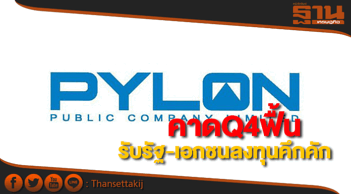 PYLONคาดQ4ฟื้นรับโครงการลงทุนรัฐ-เอกชนคึก PYLONคาดQ4ฟื้นรับโครงการลงทุนรัฐ-เอกชนคึก