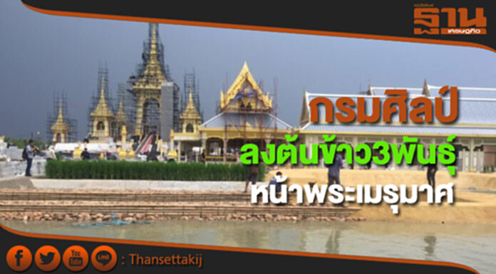กรมศิลป์ลงต้นข้าว3พันธุ์หน้าพระเมรุมาศ18 ก.ย.ติดตั้งสัตว์หิมพานต์รอบสระอโนดาต กรมศิลป์ลงต้นข้าว3พันธุ์หน้าพระเมรุมาศ18 ก.ย.ติดตั้งสัตว์หิมพานต์รอบสระอโนดาต