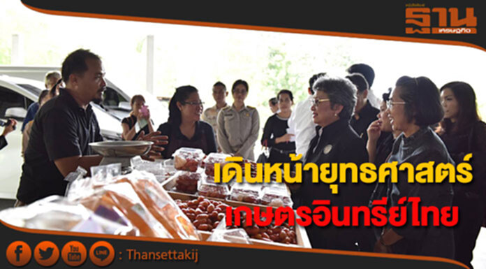 พาณิชย์เดินหน้าขับเคลื่อนยุทธศาสตร์เกษตรอินทรีย์ไทย พาณิชย์เดินหน้าขับเคลื่อนยุทธศาสตร์เกษตรอินทรีย์ไทย
