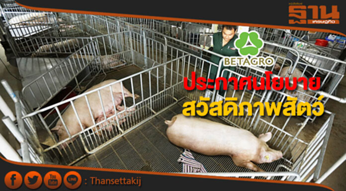 เบทาโกรประกาศนโยบายสวัสดิภาพสัตว์ เบทาโกรประกาศนโยบายสวัสดิภาพสัตว์