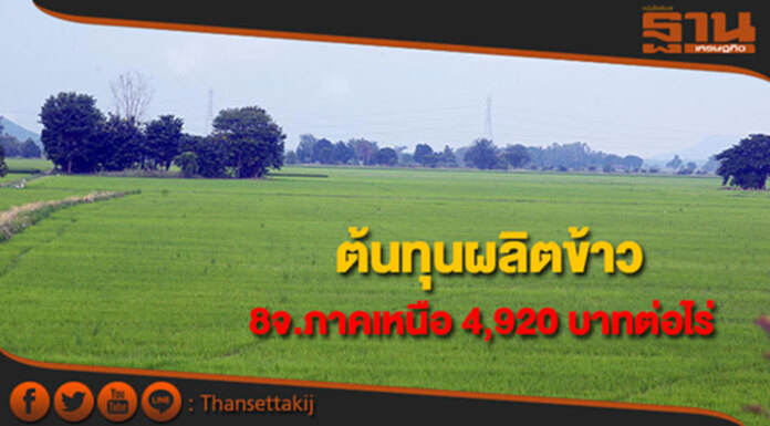 สศก.เผยต้นทุนผลิตข้าว 8 จังหวัดภาคเหนือ 4,920 บาทต่อไร่ สศก.เผยต้นทุนผลิตข้าว 8 จังหวัดภาคเหนือ 4,920 บาทต่อไร่