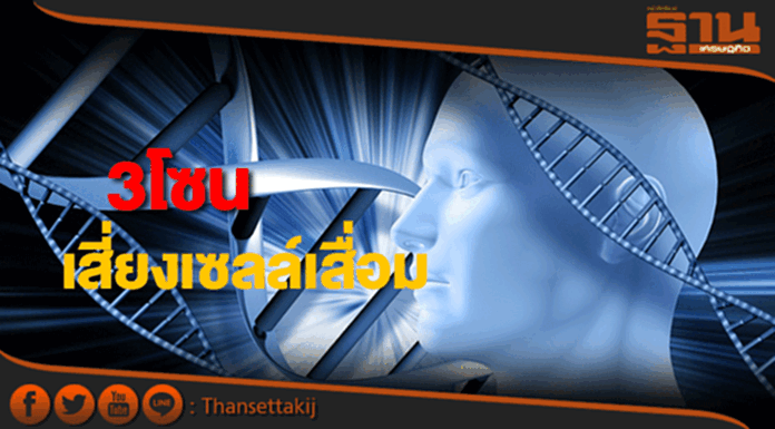 3 โซน เสี่ยงเซลล์เสื่อม 3 โซน เสี่ยงเซลล์เสื่อม