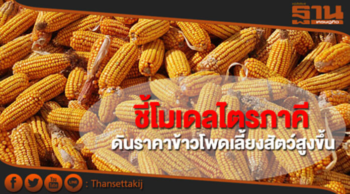 พาณิชย์ชี้โมเดลไตรภาคี ดันราคาข้าวโพดเลี้ยงสัตว์เพิ่มสูงขึ้น พาณิชย์ชี้โมเดลไตรภาคี ดันราคาข้าวโพดเลี้ยงสัตว์เพิ่มสูงขึ้น