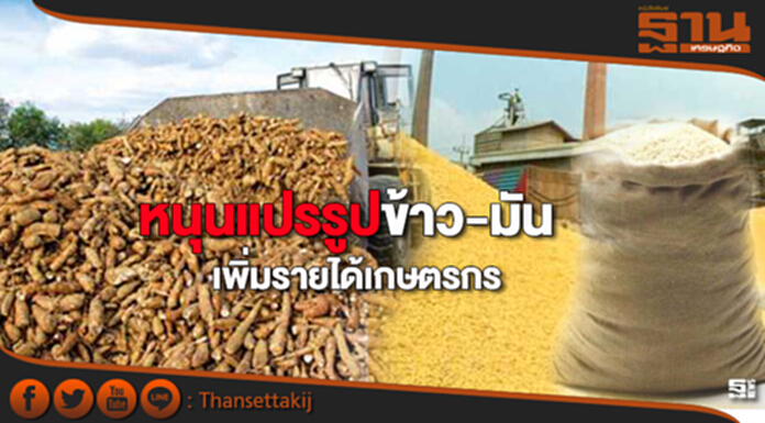 หนุนแปรรูปข้าว-มัน เพิ่มรายได้เกษตรกร หนุนแปรรูปข้าว-มัน เพิ่มรายได้เกษตรกร