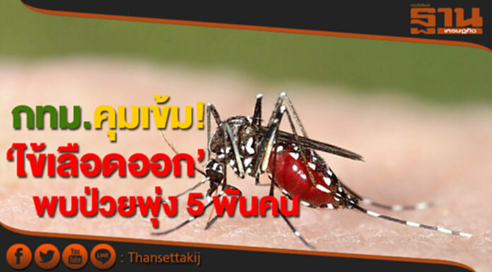 กทม.คุมเข้ม!‘ไข้เลือดออก’ พบป่วยพุ่ง 5 พันคน กทม.คุมเข้ม!‘ไข้เลือดออก’ พบป่วยพุ่ง 5 พันคน