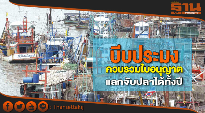 บีบประมงควบรวมใบอนุญาต แลกจับปลาได้ทั้งปี-เรือ505ลำเสี่ยงไม่ได้ไปต่อ