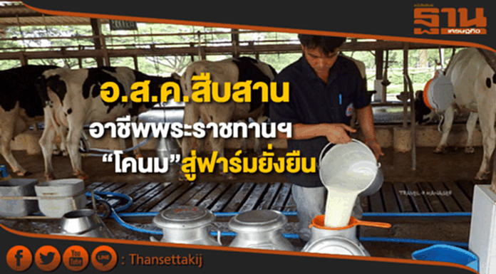 อ.ส.ค.สืบสานอาชีพพระราชทานฯชู"โคนม"ต่อยอดสู่อาชีพยั่งยืน อ.ส.ค.สืบสานอาชีพพระราชทานฯชู"โคนม"ต่อยอดสู่อาชีพยั่งยืน