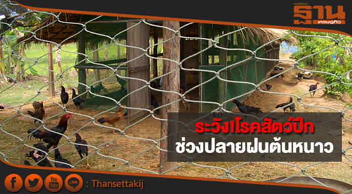 กรมปศุสัตว์ย้ำเฝ้าระวังโรคสัตว์ปีก ช่วงเปลี่ยนฤดูปลายฝนต้นหนาว กรมปศุสัตว์ย้ำเฝ้าระวังโรคสัตว์ปีก ช่วงเปลี่ยนฤดูปลายฝนต้นหนาว