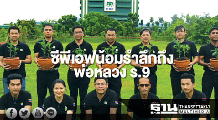 ซีพีเอฟน้อมรำลึกถึงพ่อหลวง ร.9 รวมใจภักดิ์ปลูกดาวเรืองทั่วไทย เวียดนามและฟิลิปปินส์ ซีพีเอฟน้อมรำลึกถึงพ่อหลวง ร.9 รวมใจภักดิ์ปลูกดาวเรืองทั่วไทย เวียดนามและฟิลิปปินส์
