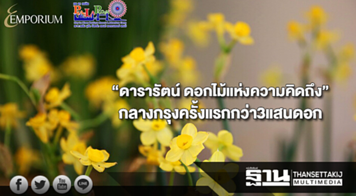 “ดารารัตน์ ดอกไม้แห่งความคิดถึง”ชมดารารัตน์กลางกรุงครั้งแรกกว่า3แสนดอก “ดารารัตน์ ดอกไม้แห่งความคิดถึง”ชมดารารัตน์กลางกรุงครั้งแรกกว่า3แสนดอก