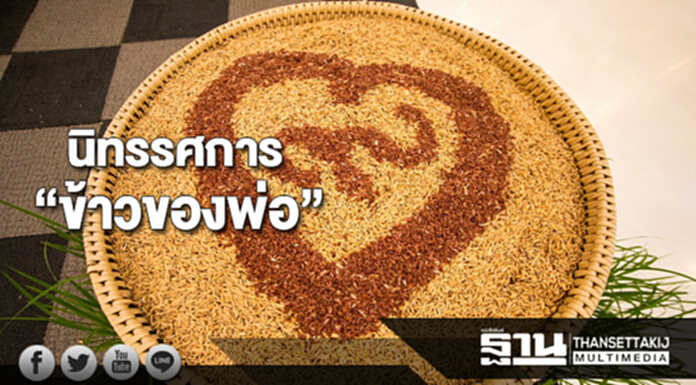 เซ็นทรัลพลาซา ลำปางจัดนิทรรศการ “ข้าวของพ่อ” เซ็นทรัลพลาซา ลำปางจัดนิทรรศการ “ข้าวของพ่อ”