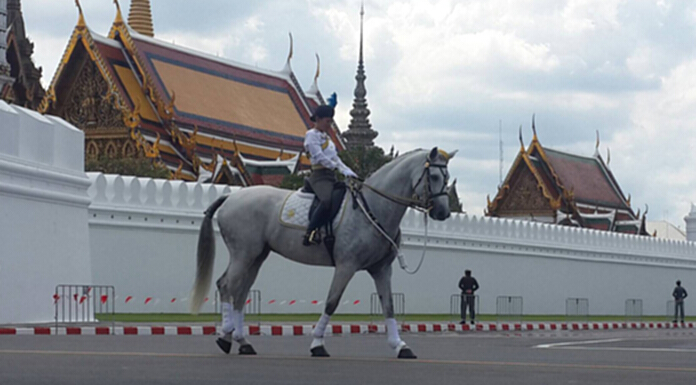 ‘พระองค์หญิงฯ’ ทรงม้านำซ้อมขบวนพระบรมราชอิสริยยศ ในริ้วขบวนที่ 6 ครั้งที่ 2 ‘พระองค์หญิงฯ’ ทรงม้านำซ้อมขบวนพระบรมราชอิสริยยศ ในริ้วขบวนที่ 6 ครั้งที่ 2