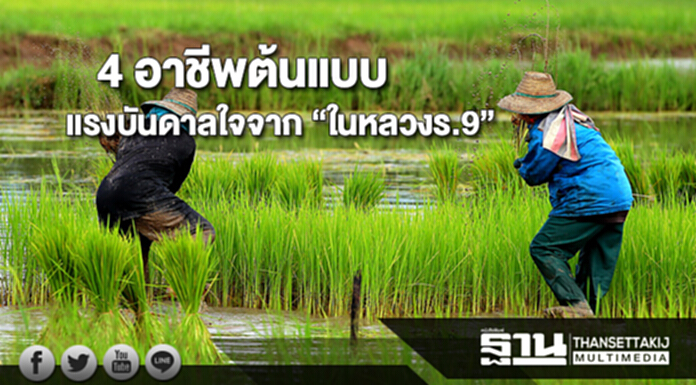 4 อาชีพต้นแบบที่ได้แรงบันดาลใจจาก “ในหลวง รัชกาลที่ 9” 4 อาชีพต้นแบบที่ได้แรงบันดาลใจจาก “ในหลวง รัชกาลที่ 9”