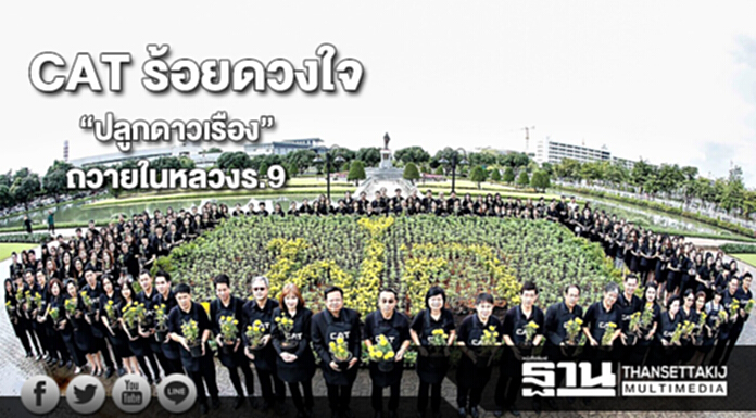 CAT ร้อยดวงใจ “ปลูกดาวเรือง” ถวายในหลวง รัชกาลที่ 9 CAT ร้อยดวงใจ “ปลูกดาวเรือง” ถวายในหลวง รัชกาลที่ 9