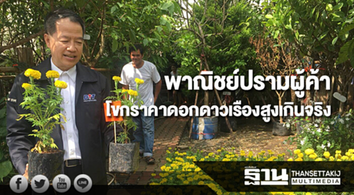 พาณิชย์เอาจริงปรามผู้ค้าโขกราคาดอกดาวเรืองสูงเกินจริง พาณิชย์เอาจริงปรามผู้ค้าโขกราคาดอกดาวเรืองสูงเกินจริง