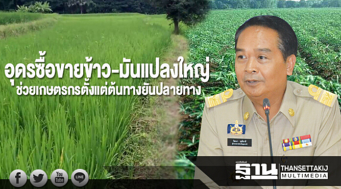 อุดรซื้อขายข้าว-มันแปลงใหญ่ ช่วยเกษตรกรตั้งแต่ต้นทางยันปลายทาง อุดรซื้อขายข้าว-มันแปลงใหญ่ ช่วยเกษตรกรตั้งแต่ต้นทางยันปลายทาง