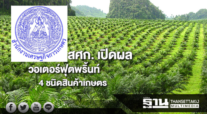 สศก. เปิดผลวอเตอร์ฟุตพริ้นท์ 4 ชนิดสินค้าเกษตร สศก. เปิดผลวอเตอร์ฟุตพริ้นท์ 4 ชนิดสินค้าเกษตร