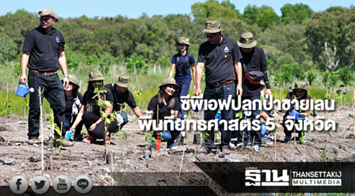 ซีพีเอฟจับมือภาครัฐและเครือข่ายเดินหน้าปลูกป่าชายเลนในพื้นที่ยุทธศาสตร์ 5 จังหวัด ซีพีเอฟจับมือภาครัฐและเครือข่ายเดินหน้าปลูกป่าชายเลนในพื้นที่ยุทธศาสตร์ 5 จังหวัด