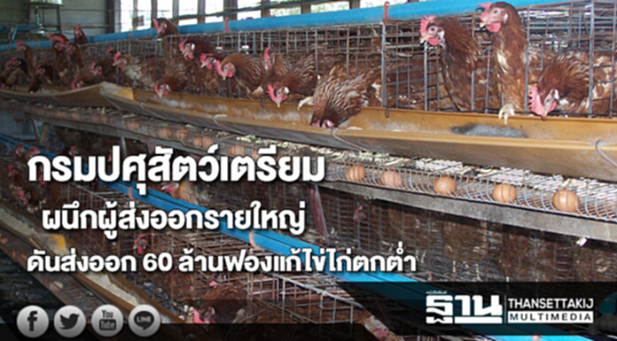 กรมปศุสัตว์เตรียมผนึกผู้ส่งออกรายใหญ่ดันส่งออก 60 ล้านฟองแก้ไข่ไก่ตกต่ำ กรมปศุสัตว์เตรียมผนึกผู้ส่งออกรายใหญ่ดันส่งออก 60 ล้านฟองแก้ไข่ไก่ตกต่ำ