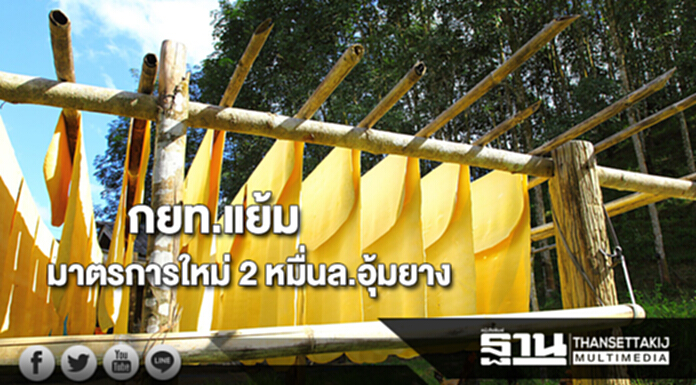 กยท.แย้มมีมาตรการใหม่ 2 หมื่นล้านอุ้มยาง กยท.แย้มมีมาตรการใหม่ 2 หมื่นล้านอุ้มยาง
