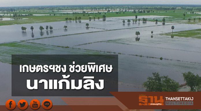 เกษตรฯ ชง! ช่วยพิเศษ “นาแก้มลิง” เกษตรฯ ชง! ช่วยพิเศษ “นาแก้มลิง”