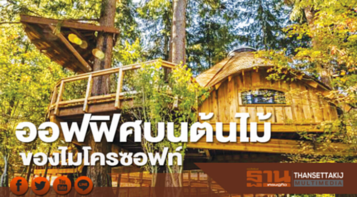 ออฟฟิศบนต้นไม้ ของไมโครซอฟท์ ออฟฟิศบนต้นไม้ ของไมโครซอฟท์