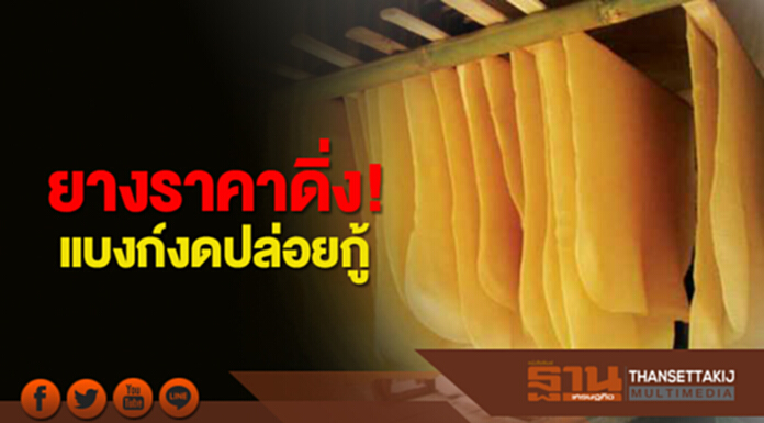 ยางราคาดิ่ง!แบงก์งดปล่อยกู้ สถาบันเกษตรกร-พ่อค้าไข้ขึ้น-บ.ร่วมทุนขาดทุน400ล. ยางราคาดิ่ง!แบงก์งดปล่อยกู้ สถาบันเกษตรกร-พ่อค้าไข้ขึ้น-บ.ร่วมทุนขาดทุน400ล.