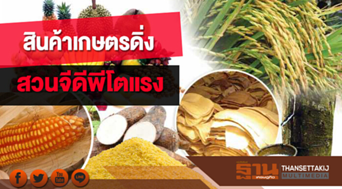 สินค้าเกษตรดิ่ง สวนจีดีพีโตแรง สินค้าเกษตรดิ่ง สวนจีดีพีโตแรง