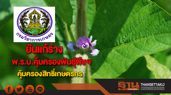 กรมวิชาการเกษตรยันแก้ร่างพ.ร.บ.คุ้มครองพันธุ์พืชฯคุ้มครองสิทธิ์เกษตรกร