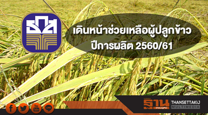 ธ.ก.ส.เดินหน้าโครงการช่วยเหลือเกษตรกรผู้ปลูกข้าว ปีการผลิต 2560/61 ธ.ก.ส.เดินหน้าโครงการช่วยเหลือเกษตรกรผู้ปลูกข้าว ปีการผลิต 2560/61