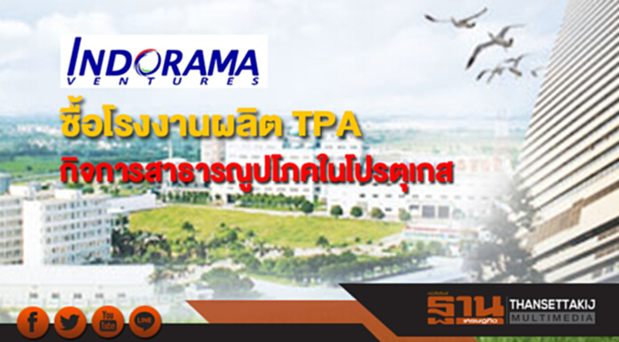 IVL ซื้อโรงงานผลิต TPA -บริษัทสาธารณูปโภคในโปรตุเกส IVL ซื้อโรงงานผลิต TPA -บริษัทสาธารณูปโภคในโปรตุเกส
