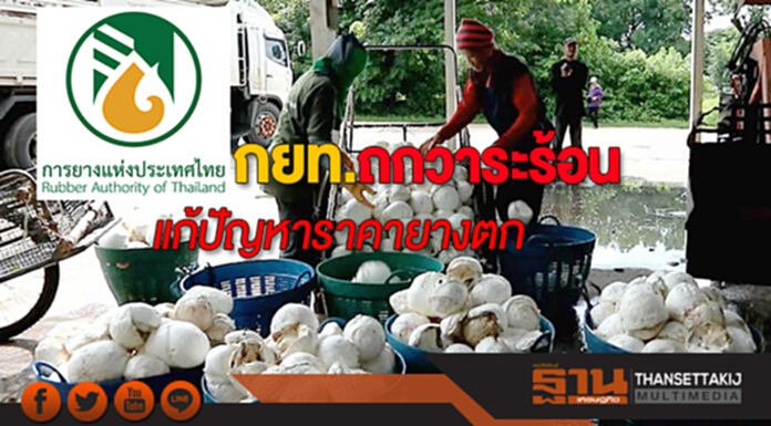 กยท.ถกวาระร้อนแก้ปัญหาราคายางตก กยท.ถกวาระร้อนแก้ปัญหาราคายางตก