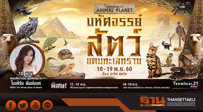 “TERMINAL 21 ANIMAL PLANET มหัศจรรย์สัตว์แดนทะเลทราย” “TERMINAL 21 ANIMAL PLANET มหัศจรรย์สัตว์แดนทะเลทราย”