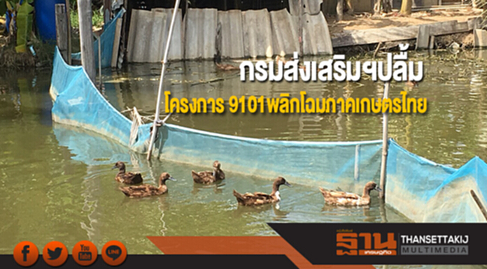 กรมส่งเสริมฯปลื้มโครงการ 9101 สร้างรายได้ยั่งยืน พลิกโฉมภาคเกษตรไทย กรมส่งเสริมฯปลื้มโครงการ 9101 สร้างรายได้ยั่งยืน พลิกโฉมภาคเกษตรไทย