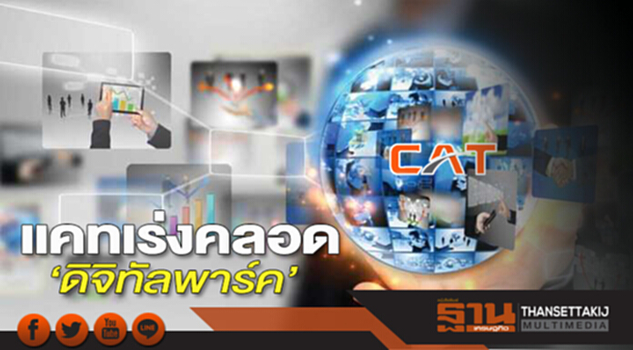 แคทเร่งคลอด‘ดิจิทัลพาร์ค’ แคทเร่งคลอด‘ดิจิทัลพาร์ค’