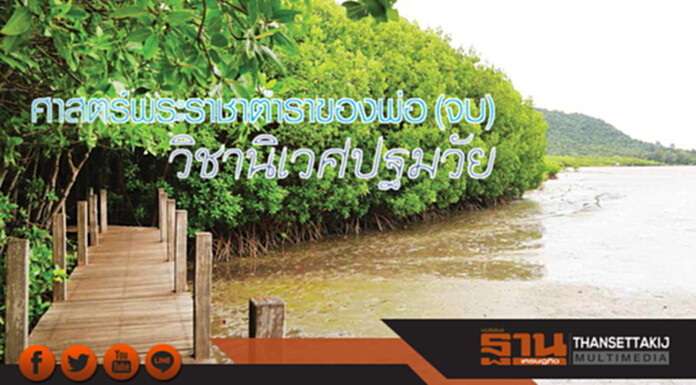 ศาสตร์พระราชาตำราของพ่อ (จบ) วิชานิเวศปฐมวัย ศาสตร์พระราชาตำราของพ่อ (จบ) วิชานิเวศปฐมวัย
