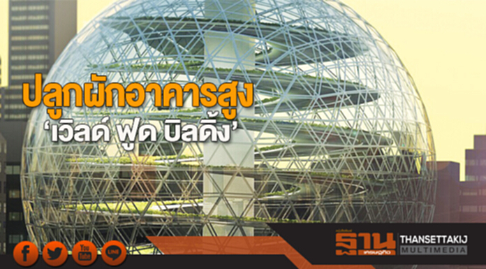 ปลูกผักอาคารสูง ‘เวิลด์ ฟูด บิลดิ้ง’ ปลูกผักอาคารสูง ‘เวิลด์ ฟูด บิลดิ้ง’