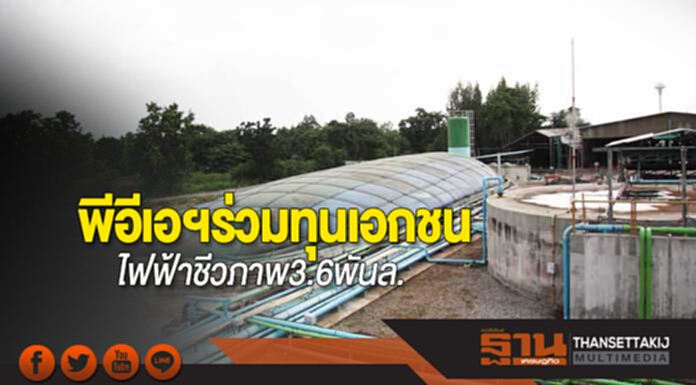 พีอีเอฯร่วมทุนเอกชน ไฟฟ้าชีวภาพ3.6พันล. พีอีเอฯร่วมทุนเอกชน ไฟฟ้าชีวภาพ3.6พันล.