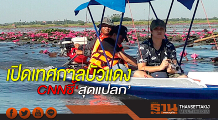 เปิดเทศกาลบัวแดง CNNชี้‘สุดแปลก’ เปิดเทศกาลบัวแดง CNNชี้‘สุดแปลก’